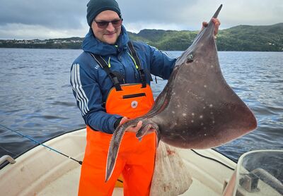 A 128 centimetre longnose skate