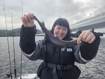 A velvet belly lanternshark