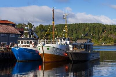 Boats at the quay